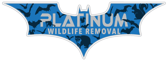 Wildlife Removal Marshall County